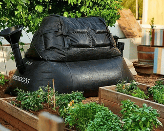 franquia BioMovement franquia BioMovement