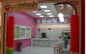 Franquia da Yogofresh tem retorno em 18 meses