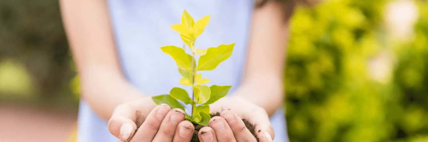 Programa de Desenvolvimento Sustentável em Foco do McDonald’s completa três anos e abre novas inscrições