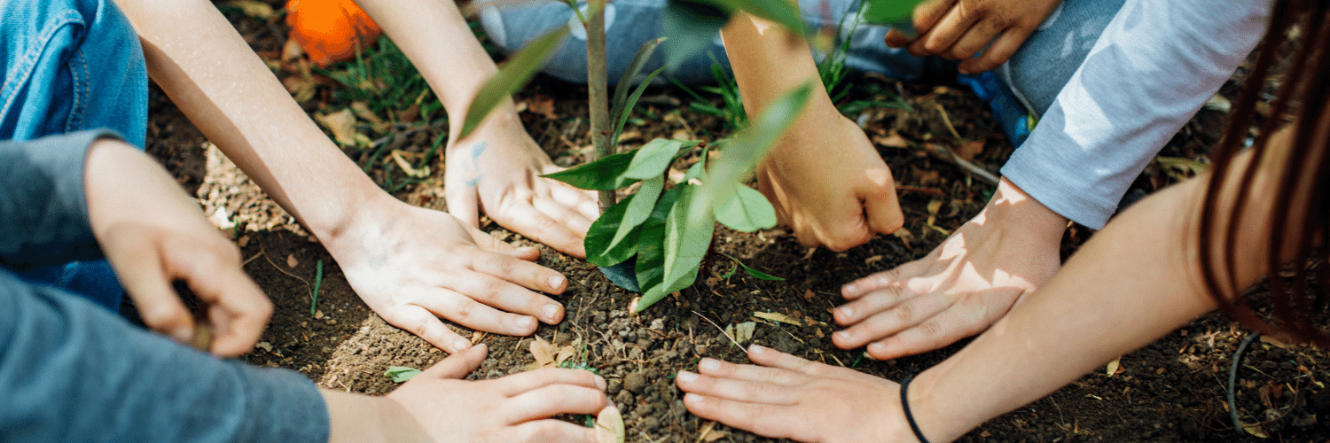 ESG: Grupo Salus plantará mil mudas em área de recuperação florestal