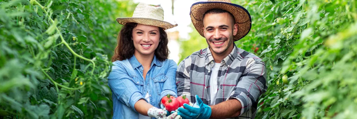 O agronegócio brasileiro é um dos pilares da economia e já representa 27% do PIB do país