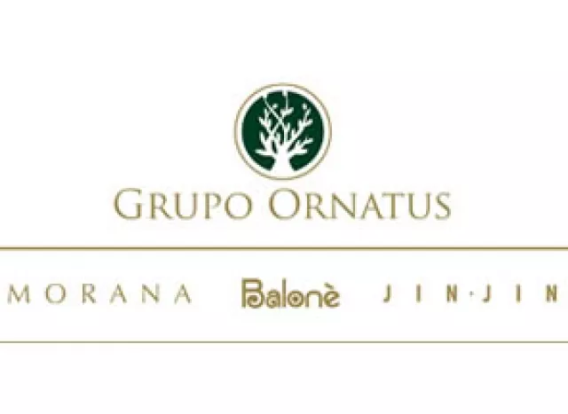 Grupo Ornatus lança novo site, mais leve e atraente