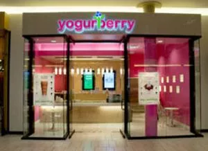 Yogurberry inaugura no shopping Anália Franco e espera mais 5 até final do ano