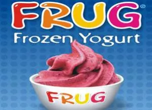 FRUG Frozen Yogurt abre comercialização de franquias de sua rede 