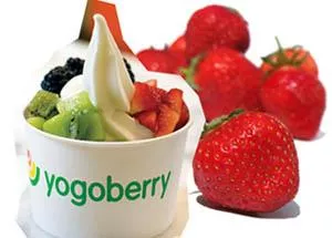 Yogoberry acertou ao apostar em um novo mercado no Brasil