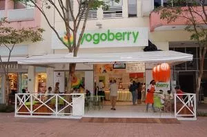 Yogoberry se prepara para fechar o trimestre com 100 lojas