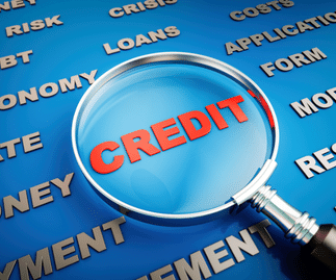 Sebrae define política de crédito como prioridade para 2024