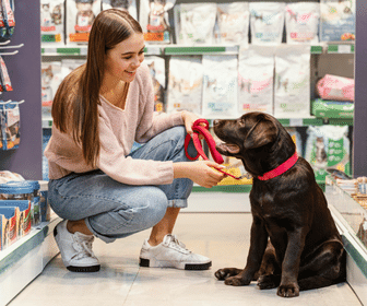 Franquia de pet shop É Sério Isso, Márcia? quer abrir 30 unidades este ano