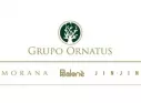 Grupo Ornatus lança novo site, mais leve e atraente