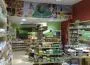 Mundo Verde cresce no Nordeste com mais uma loja em Recife