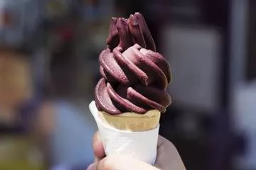 Rede de franquias de açaí chega aos Estados Unidos