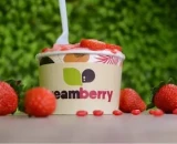 Gestor Cream Berry garante: agora é o momento de abrir negócio de Alimentação! Entenda por quê