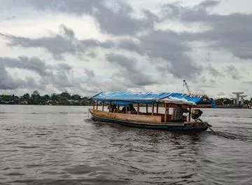 Um sistema tributário moderno pode ajudar a preservar a Amazônia, mas há um custo inevitável