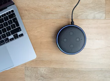 Inovação: Sicredi integra seu assistente virtual Theo à Alexa