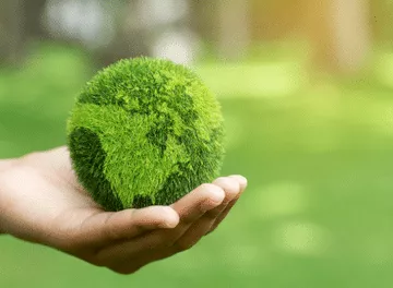 O ESG e o compromisso das empresas com questões ambientais, sociais e de governança