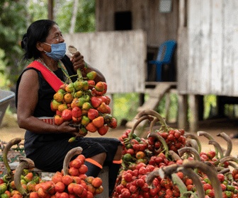 BNDES vai destinar R$ 2,5 milhões para bioeconomia na Amazônia